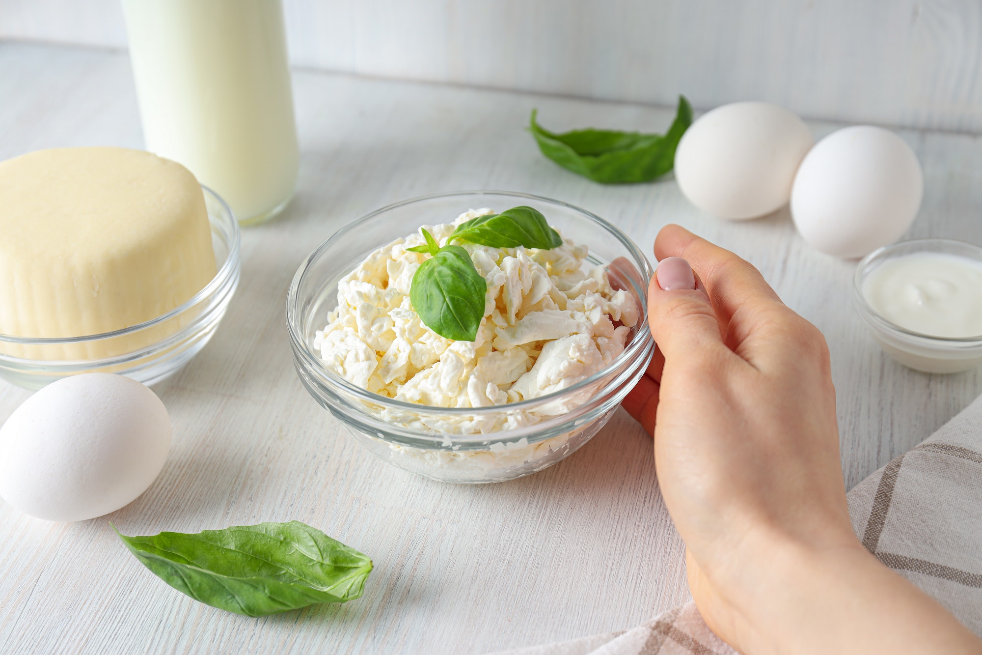 Concept of tasty food - different dairy products